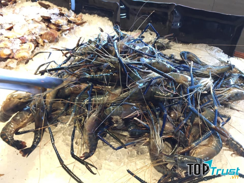 Tôm tươi- Buffet Cô Ba Còi