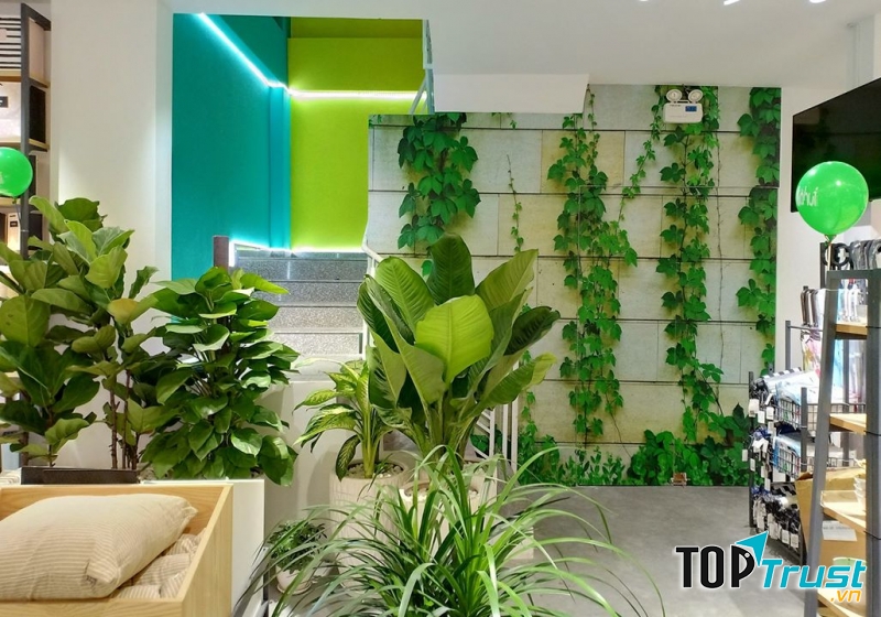 Chuỗi cửa hàng tiện lợi Ilahui