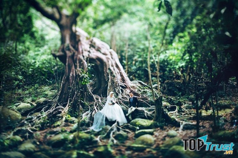 Vẻ đẹp hoang sơ của bán đảo Sơn Trà