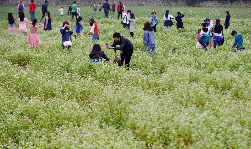 Trào lưu chụp ảnh với hoa