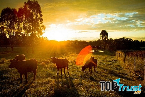 Một bức ảnh chụp ngược sáng chuẩn mực