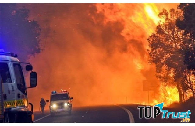 Chuyện kinh khủng xảy ra vào thứ 6 ngày 13 tháng 1 năm 1939 tại Australia