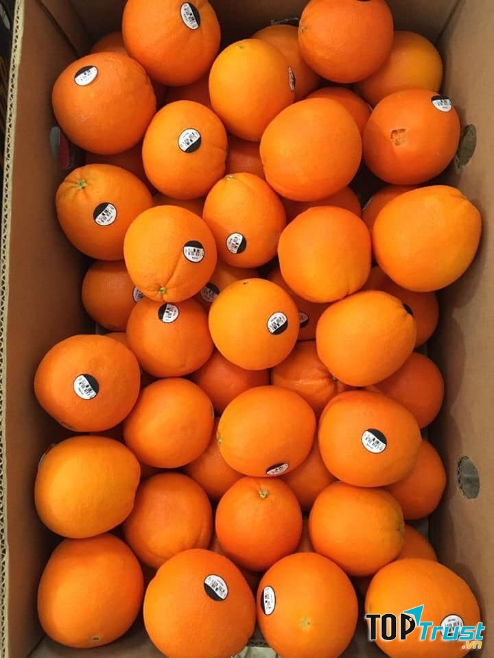 CIAO Fruits - Trái Cây Nhập Khẩu