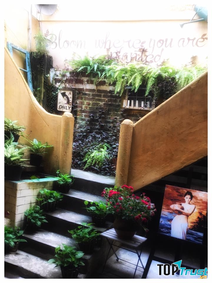 Lối lên cầu thang của quán