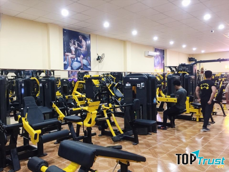 Clb Gym Sức Khỏe Vàng