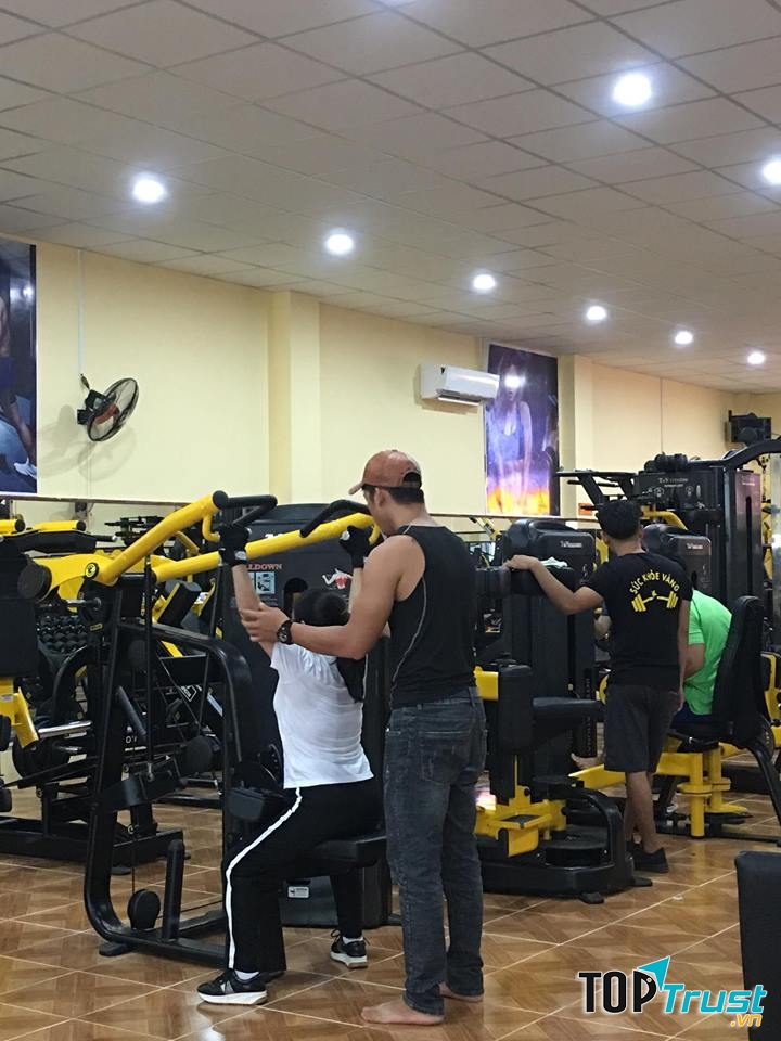 Clb Gym Sức Khỏe Vàng