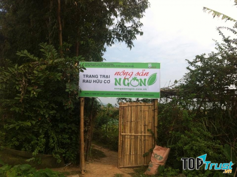 trang trại rau sạch