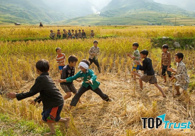 Bịt mắt bắt dê trên cánh đồng