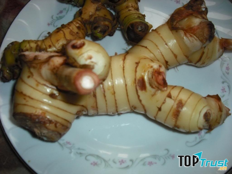 Mẹo chữa viêm đại tràng từ củ riềng rất hiệu quả