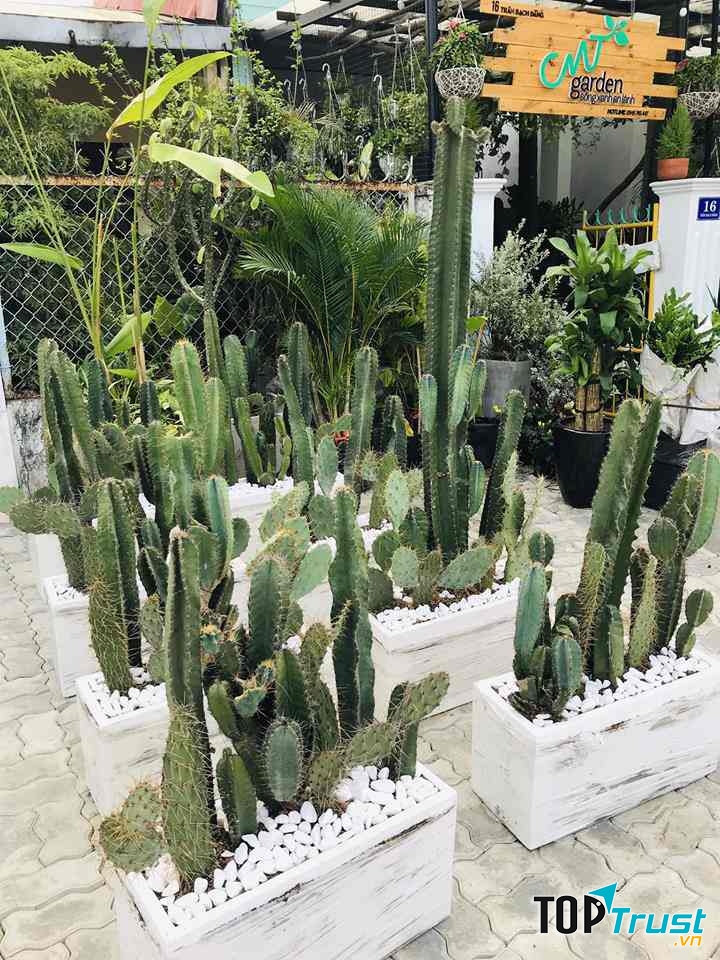 CMT Garden - Sống Xanh An Lành