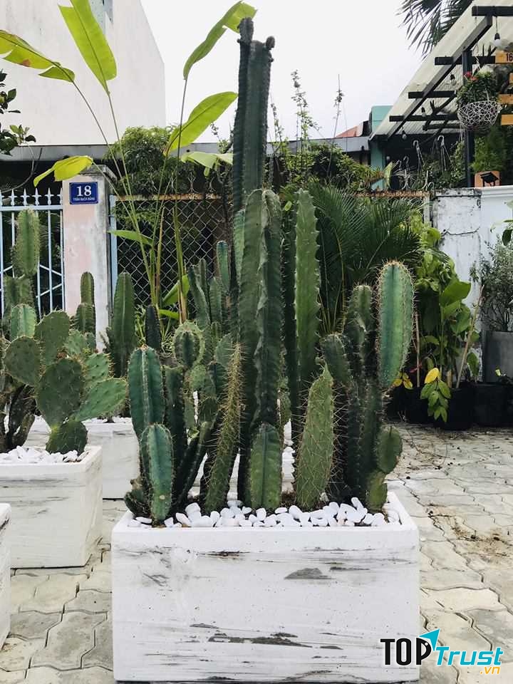 CMT Garden - Sống Xanh An Lành