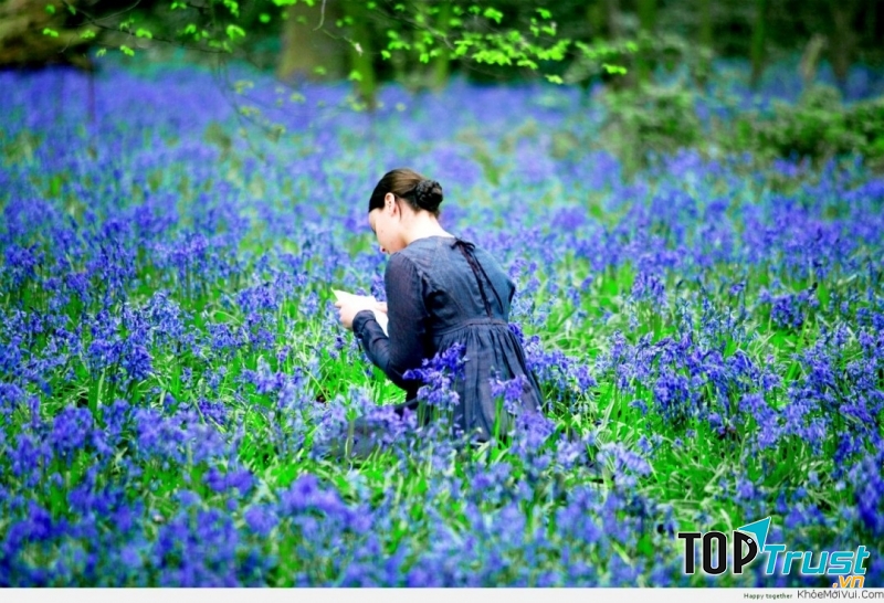 Ảnh minh họa ( nguồn: Internet)