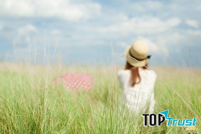 Ảnh minh họa ( nguồn: Internet)