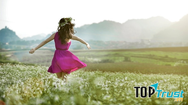 Ảnh minh họa ( nguồn: Internet)