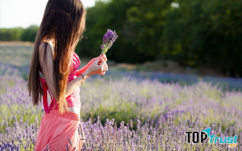 Ảnh minh họa ( nguồn: Internet)