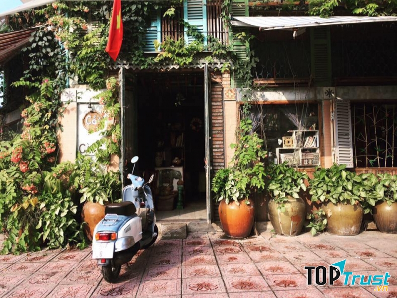 Cỏ Cafe