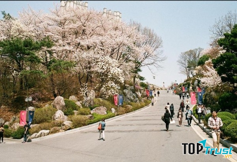 Du học sinh được chính phủ tạo điều kiện vừa học vừa làm