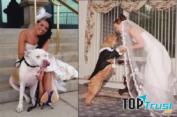 Cô dâu kết hôn với động vật để trừ tà ma là tập tục ở một số khu vực của Ấn Độ