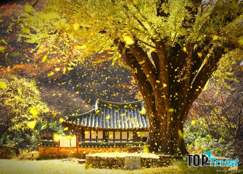 Tuyệt tác kiến trúc và nghệ thuật Gyeongju