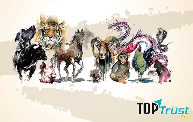 Vận mệnh do ta tự quyết định