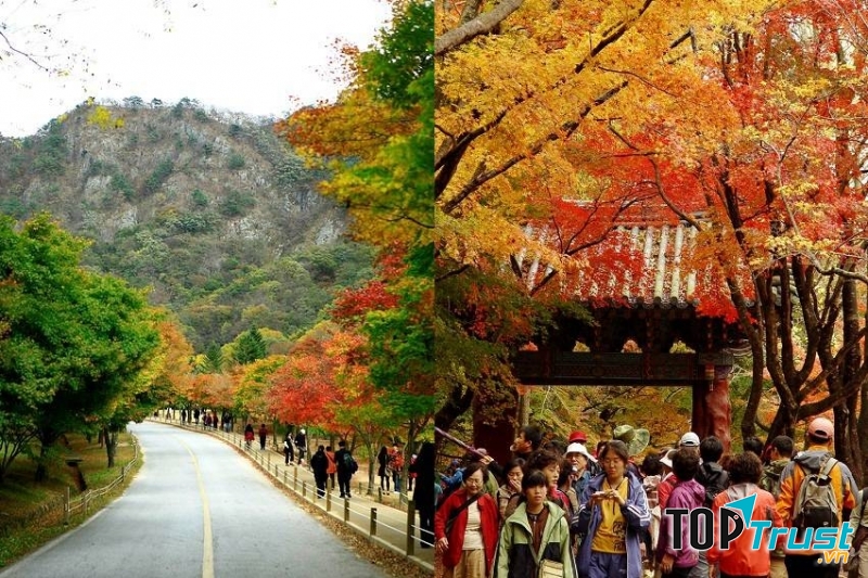 Nhiều địa điểm đẹp để bạn khám phá