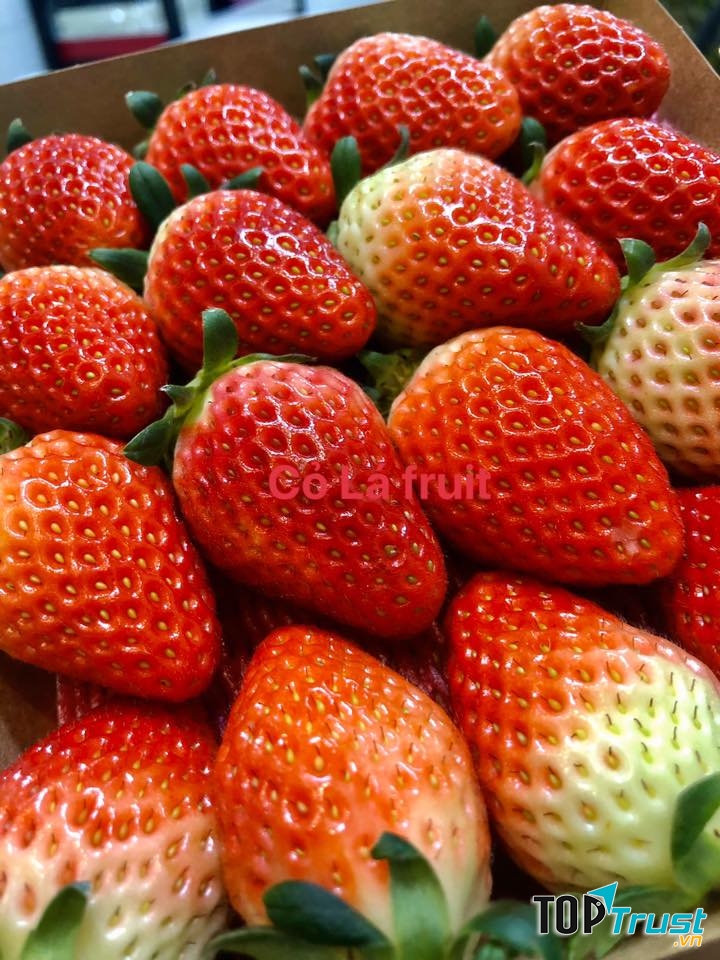 Cỏ Lá Shop - Trái Cây Nhập Khẩu