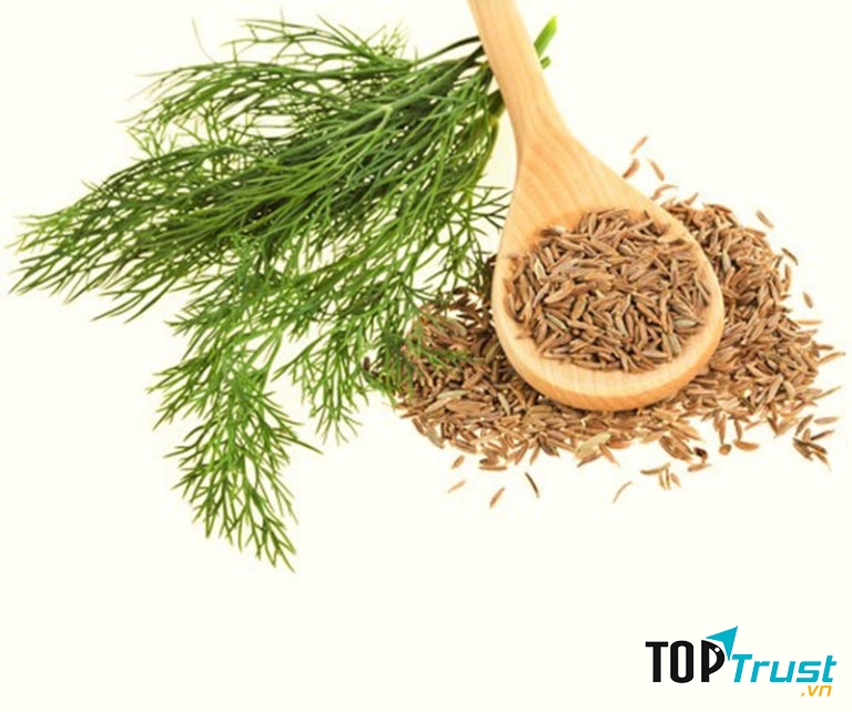 Hạt thì là còn rất hữu ích cho quá trình cai nghiện