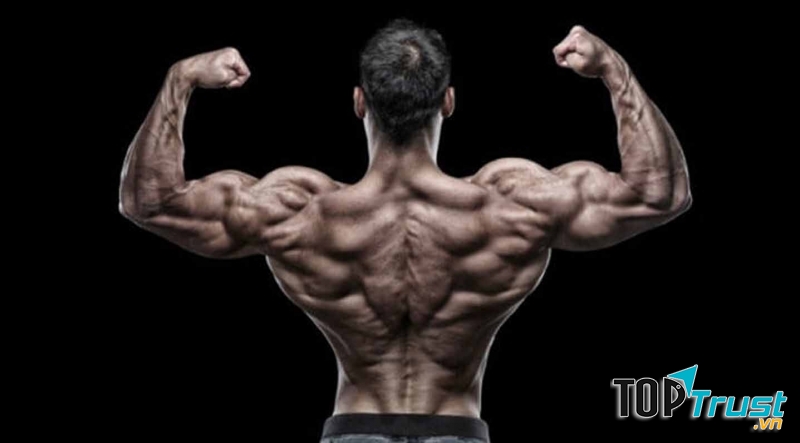 Một tấm lưng rộng là điều cần thiết nếu bạn muốn lôi cuốn phái nữ