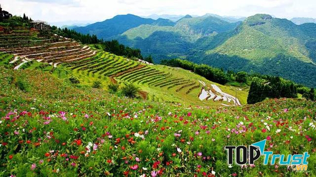 Đối với các đôi tình nhân, địa điểm này khá lí tưởng để họ hàn huyên tâm sự.