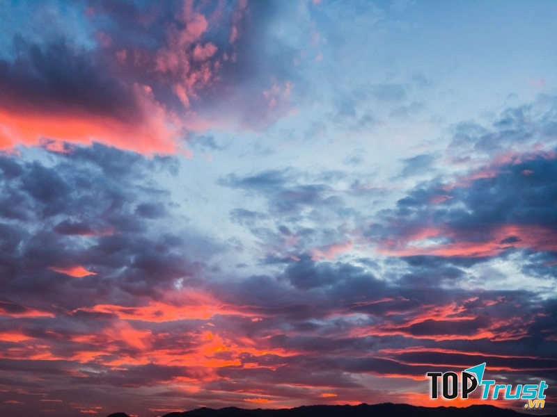 Bản in phân cấp rõ các màu sắc