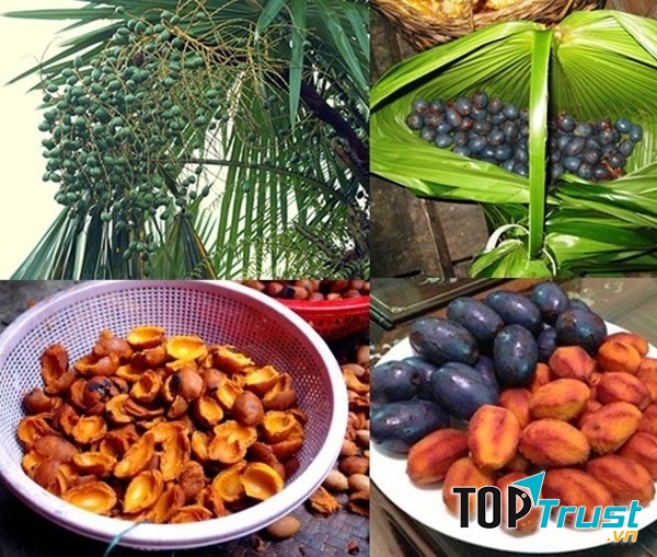 Đặc sản cọ ỏm Phú Thọ