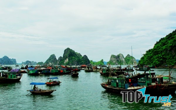 Tàu thuyền trên làng chài Cô Tô