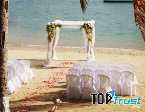 Tuy nhiên, dịch vụ du lịch nghỉ dưỡng ở Cô Tô chưa thực sự phát triển.