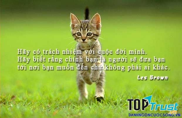 Có trách nhiệm với bản thân và hành động của mình
