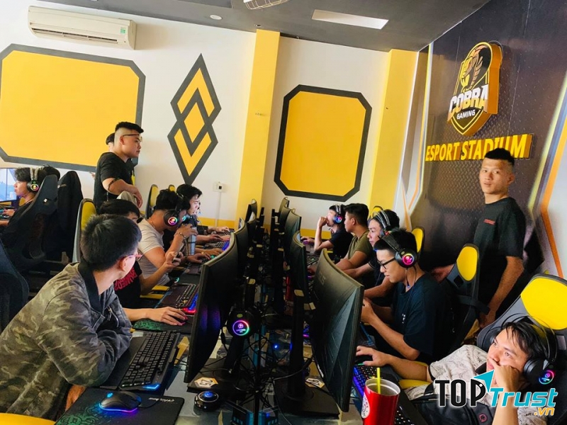 Cobra Gaming