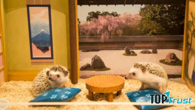 Coffee pet – quán Chiku Chiku