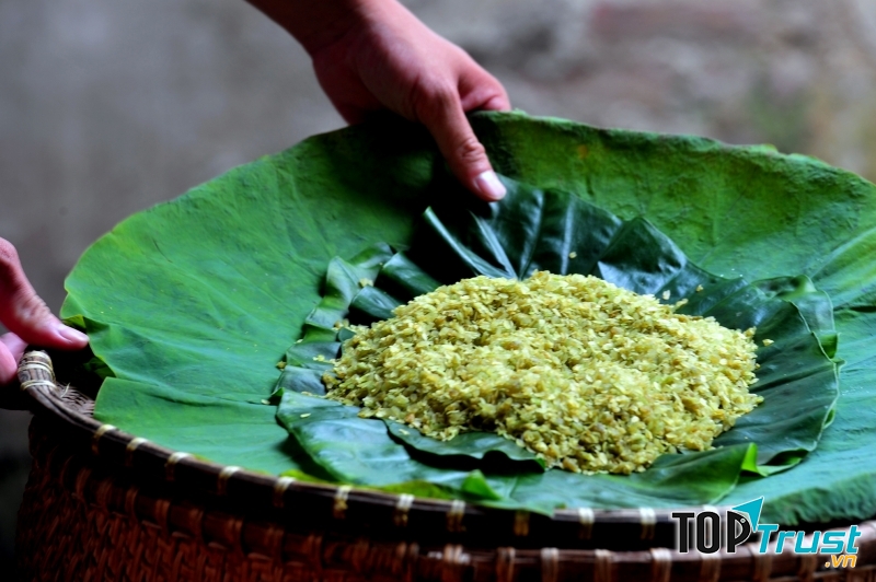 Thứ cốm xanh của gạo nếp, hương vị ngào ngạt của lá sen