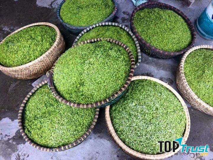 Cốm sạch Mễ Trì