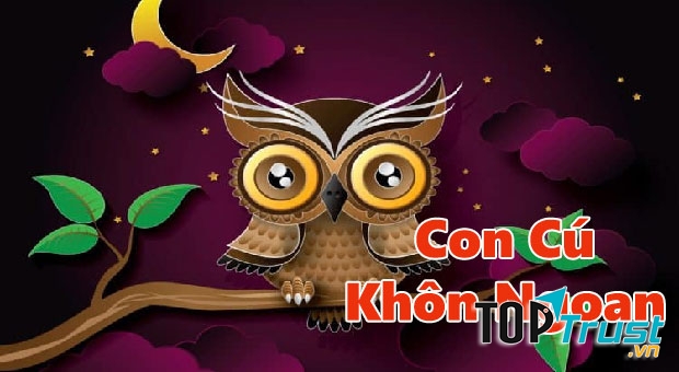 Con cú khôn ngoan