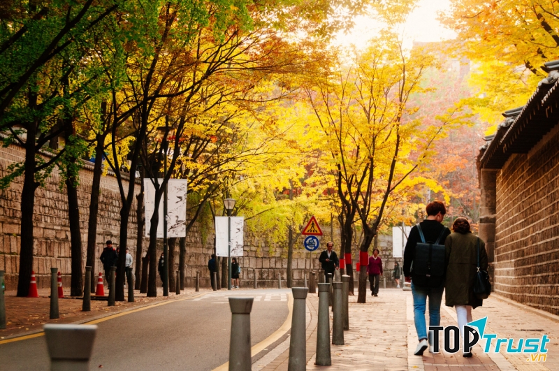 Con đường Deoksugung Doldam-gil