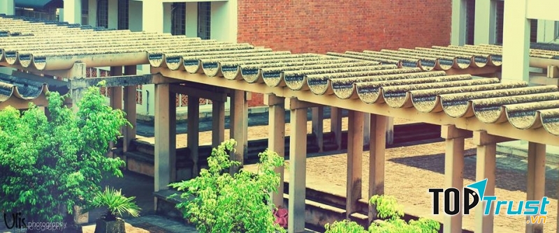 Những con đường hầm mang nét đẹp độc đáo  (Ảnh Fb Ulis Photography)