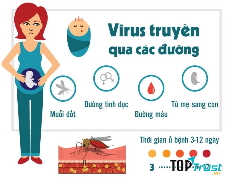 Con đường lây lan