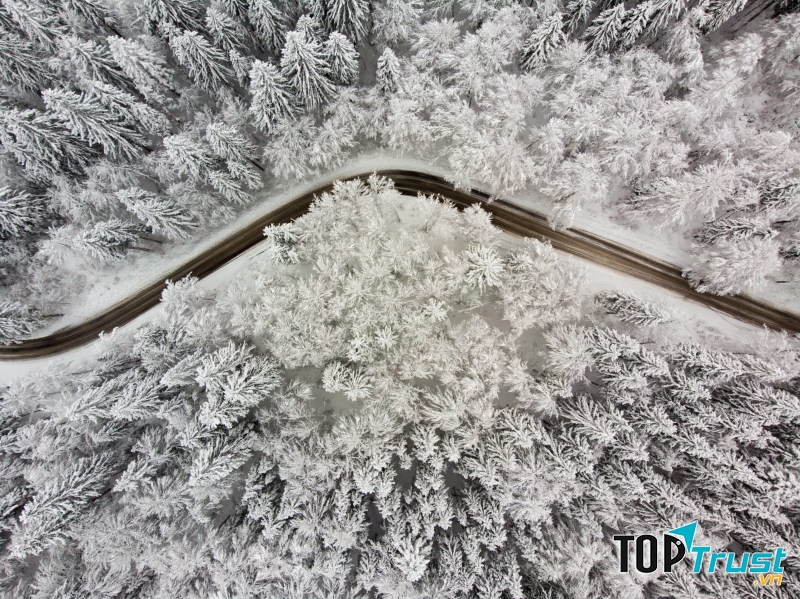 Con đường trong mùa đông băng giá