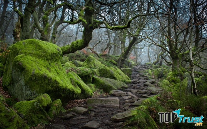 Con đường mòn gồ ghề và trơn trượt