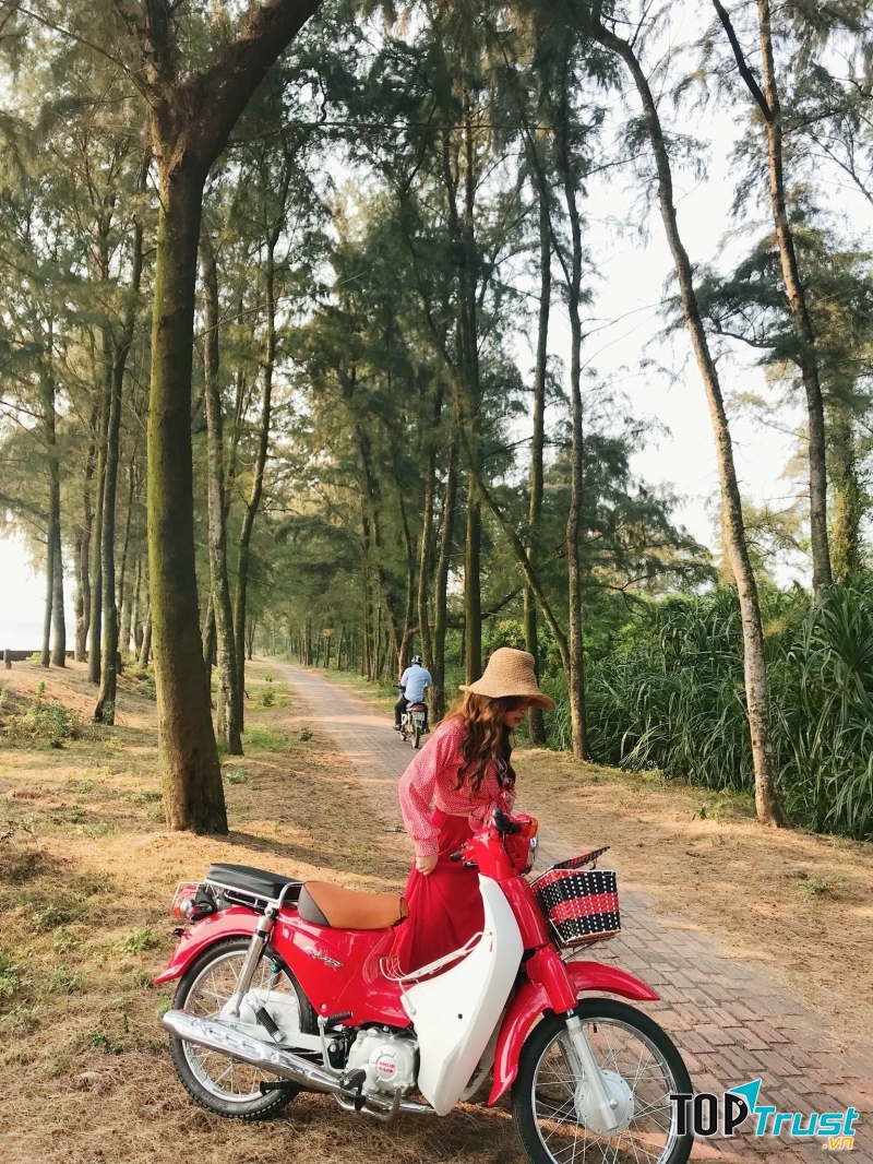 Con đường tình yêu Cô Tô