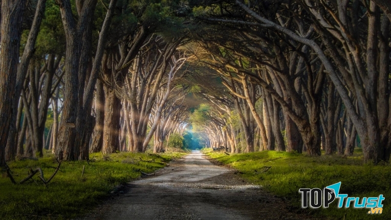 Nhìn sâu vô cùng tận mà vẫn chả thấy đích đến