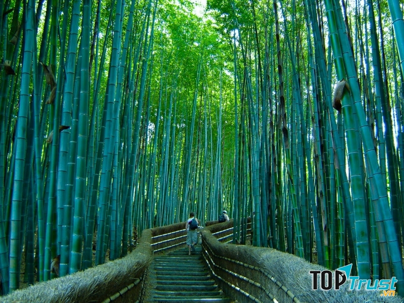 Đi sâu vào trong là những bậc thang dẫn lối lên khu đền trên núi