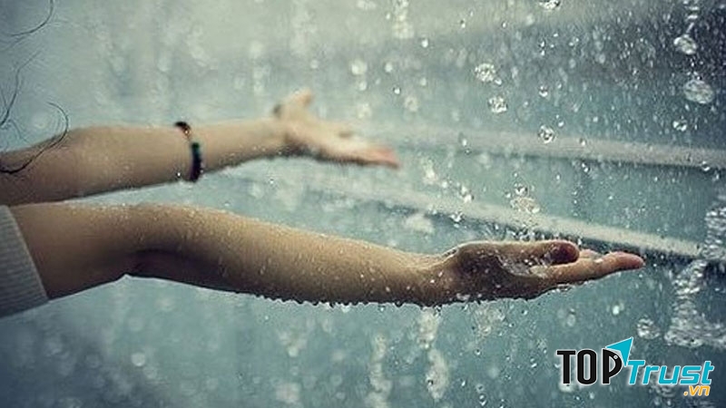 Cơn mưa tưới mát vạn vật, mang đến cho con người và thiên nhiên một sức sống mới hơn bao giờ hết.