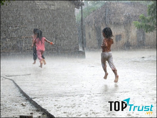 Thế mà mấy cậu nhóc ở xóm tôi lại chạy ra đường tắm mưa. Chúng nô đùa, nhảy nhót, hò hét ầm ĩ.