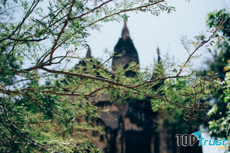 Con người và nắng Bagan